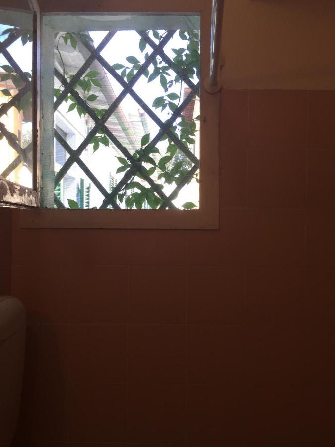 Appartamenti Gloria Marina Di Pisa Zewnętrze zdjęcie